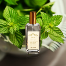 러쉬 더티 TYPE 50ml EDP 페퍼민트향 데일리 외출, 1개