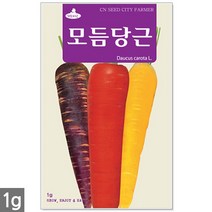 서리태 씨앗 30g - 콩 씨 청약콩 검은콩 쥐눈이콩 서리태씨앗 콩 검정콩씨앗 검은콩씨앗 콩씨앗 서리태씨 검은콩씨 주말농장 텃밭, 03_모듬당근(1g)