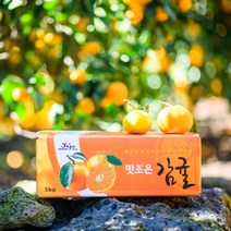 [제주땡큐베리팜] 농장직송 햇 노지감귤 3kg 5kg ( 2S/S/M/L ), 1세트, 감귤 3KG(중대과 L/2L)