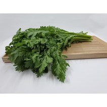[특급] 쑥갓 500g 1kg 2kg 4kg 박스, 4kg박스