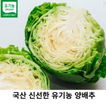 국내산 친환경 유기농 무농약 양배추 1kg 2kg 3kg 5kg 국산 싱싱한 양배추 이유식 다이어트식단