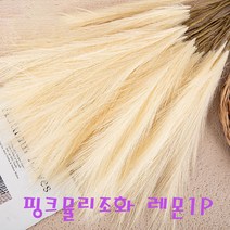 핑크뮬리 팜파스 억새풀 조화 인조 갈대 장식 레몬1P