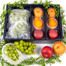 익산원예농협 샤인품은 과일 혼합 세트 4.5kg 내외 (샤인2+사과2+배2+한라봉2), 단일옵션