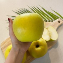 과즙팡팡 황금사과 고당도 시나노골드 정품 5kg, 1개, 정품 중대과 13-15과 5kg