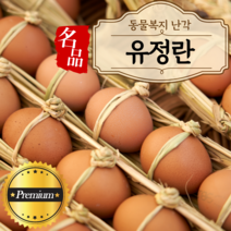 자연방사 친환경 동물복지 난각번호1번 무항생제 유정란 방목 계란 달걀 20구 40구 60구 90구 100구 HACCP
