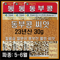 23년산 국산 동부콩씨앗 30g- 5 6월 파종, 5개