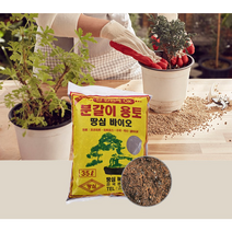 국산 땅심바이오 용토 분갈이 35L 텃밭용 흙 화분 흙갈이, 땅심35L용토