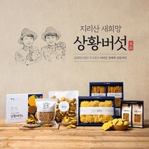 유기농 상황버섯 가정용 100g _ 새희망상황버섯
