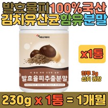100% 국내산 발효 율피 추출 김치 유산균 함유 분말 덱스트린 혼합 쉐이크 20대 30대 40대 직장인 여자 여성 남자 남성 친구 부모님 보조 영양 식품 추천