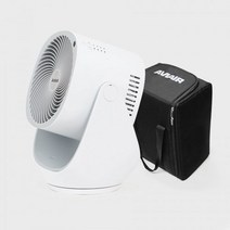 AVIAIR 프리미엄 BLDC모터 써큘레이터 R100 PKG 캐리백 패키지, none