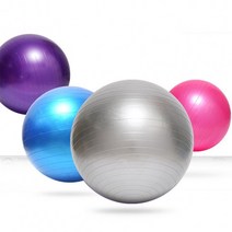 짐볼 짐볼/다이어트/임산부/필라테스 납품] [헬스장, 55cm_블루