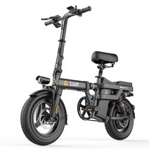 스프링안장전기자전거 zsun 서스펜션 미니벨로 2인용, 상세이페이지 참고, F8자동차등급셀8AH전기약32KM48V