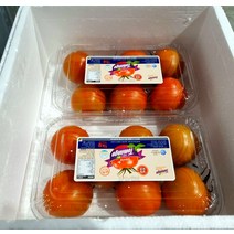 스테비아 방울 토마토 토망고 망고 스윗마토 500G 1KG 혼합, 스테비아 방울토마토 500g, 1개