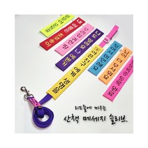 (초코송이네 커스텀)강아지 산책 메세지 슬리브, 9