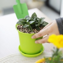미니화분 예쁜미니화분 미니식물화분 홈가드닝 토기 4호, 레드