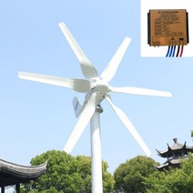 신재생발전기 새로 개발 된 풍력 터빈 800w 12v 24v 발전기 6 블레이드 PWM 컨트롤러 가정용, 48V, 터빈만, 800w 6 블레이드