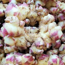 국내산 2023년 수확한 햇 생강 최상급 특품 1kg 3kg 5kg 10kg [노블프레쉬], 햇 생강 5kg, 1개