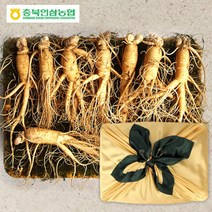 증평인삼 충북인삼 농협 6년근 수삼선물세트 1호 20-22뿌리 1kg 6년근 농협수삼 말리지 않은 인삼 삼누리 6년근 피로회복 사포닌 부모님 귀한분 교수님 기력회복 선물세트