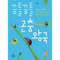 꿈틀꿈틀 곤충 왕국:곤충 연구가 한영식의 우리 곁에서 살아가는 50가지 곤충 이야기, 사이언스북스, 한영식 저