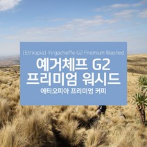 에티오피아 생두 예가체프 G2 프리미엄 워시드 Yirgacheffe Premium Washed, 1KG