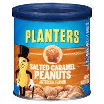 플랜터스 Planters 솔티드 카라멜 피넛 땅콩 너트 170g (8개), 8개