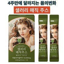 혈관질환개선 장운동 섬유질풍부 라본즈아 샐러리매직주스 이너뷰티 식이섬유 피부고민개선 체중관리 사은품지급, 샐러리매직주스2박스(14포x2)