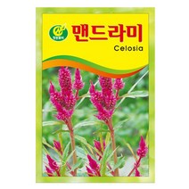 봉선화 50립 - 봉숭아 씨앗 봉선화씨 꽃씨 꽃씨앗 씨앗 씨 야생화씨앗 봉숭아씨, 09_청농_맨드라미(150립)