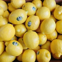 미국산 칠레산 정품 레몬 1개(120g내외), 120g 내외, 1개입