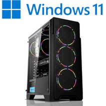 [왕가PC]WGCP 윈도우11 탑재 데스크탑 3D게임용 배그 풀옵션 게이밍 조립컴퓨터 롤 오버워치2 로스트아크 국민옵션부터 풀옵션 조립PC, 04. HDD 1TB 추가, 게이밍 13