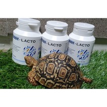 파충류 유산균 장기능개선제 정장제 유산균[푸디락토 60g FOOD-LACTO)