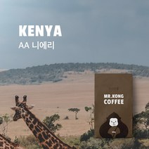 미스터콩 케냐 AA 니에리 (당일로스팅 원두커피), 프렌치프레스, 100g