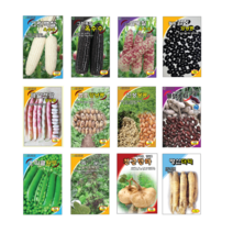 백찰 흑찰 얼룩찰 옥수수 검정 얼룩 강낭콩 서리태 흑 땅콩 스파클 완두콩 녹두 히카마 얌빈 더덕 씨앗 종자, 7.진상땅콩 30g