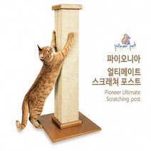 파이오니아 얼티메이트 스크래쳐 포스트 고양이 스트레스해소 장난감 운동기구 휴식공간 튼튼한스크래쳐 얼티메이트포스트패드 평판형, 1세트, 고양이 얼티메이트 튼튼한 스크래쳐 포스트 + 포스트패드 레드