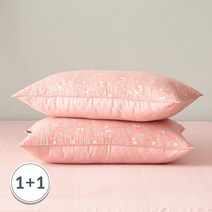 자자홈 코코 쎄미마이크로 베개커버 2장세트