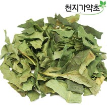 청정제주산 황칠나무잎 (잔가지포함) 300g, 5봉
