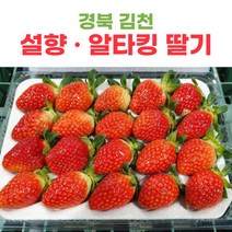 산지직송 김천 딸기 설향딸기 알타킹딸기 500g 1kg 2kg, 설향딸기_20구