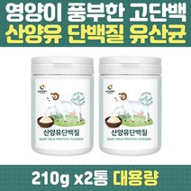 산양유 단백질 프로틴 유산균 프리바이오틱스 유익균 먹이 고영양 모유유사 프락토올리고당 분말 쉐이크 드링크 보충제 운동 헬스 전 후 노년 부모님 중년 여성 남성 50대 60대 70대