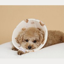 상처 핥음방지 깔대기 대형견넥카라 강아지넥카라 상처보호 넥카라대형