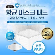 [AJZ_6587493] 동성 항 균마스트패드 필터 10매입 1팩 마스트필터 리필필터 일회용마스크 마스크이너필터 교체용마스크필터