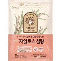 CJ제일제당 백설 자일로스 브라운 설탕 1kg, 1개