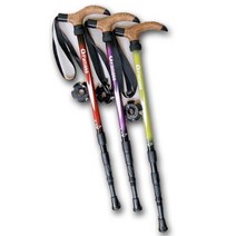 등산 스틱 지팡이 손잡이 트레킹 4단, 하늘