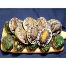 완도 활 전복 특대/꼬마 1kg 당일발송 대유수산, 특대전복 7-8미 1kg, 1개