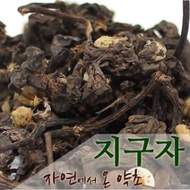 지구자 헛개나무열매 중국산 600g, 1개
