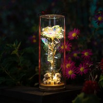 LED 장미 꽃 무드등 조명 발렌타인데이 화이트데이 로즈데이 생일 기념일 졸업 선물