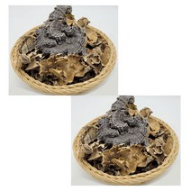 운지버섯 구름버섯 운지버섯차 국내산 300g 2팩, 단품, 단품