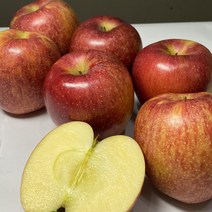 예산 엔비 사과 고당도 가정용 사과 선물세트 2.5kg 5kg 10kg, 비세척사과 2.5kg소과(10-13과)