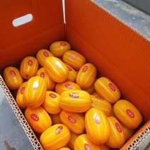 *[공주네농장]농민직송 고당도 성주 꿀벌 참외 등급(상) 등급(상)꿀*, 1box, 참외 가정용 5kg 중과