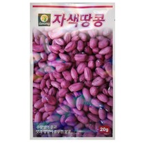 자색땅콩 씨앗 20g 다농, 1개