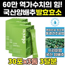 속편한 역가수치 높은 발효 소화 양배추 효소 제 3통 단백질 가르스토 곡물 탄수화물 파우더 분말 프로타아제 알파 아밀라아제 역가수치높은효소 식품 효능 제품 분해 스틱 효소제 가루