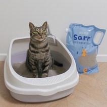 1+1 고양이모래 벤토나이트 먼지안나는 응고잘되는 천연모레